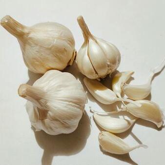 Contenant à gousses d'ail